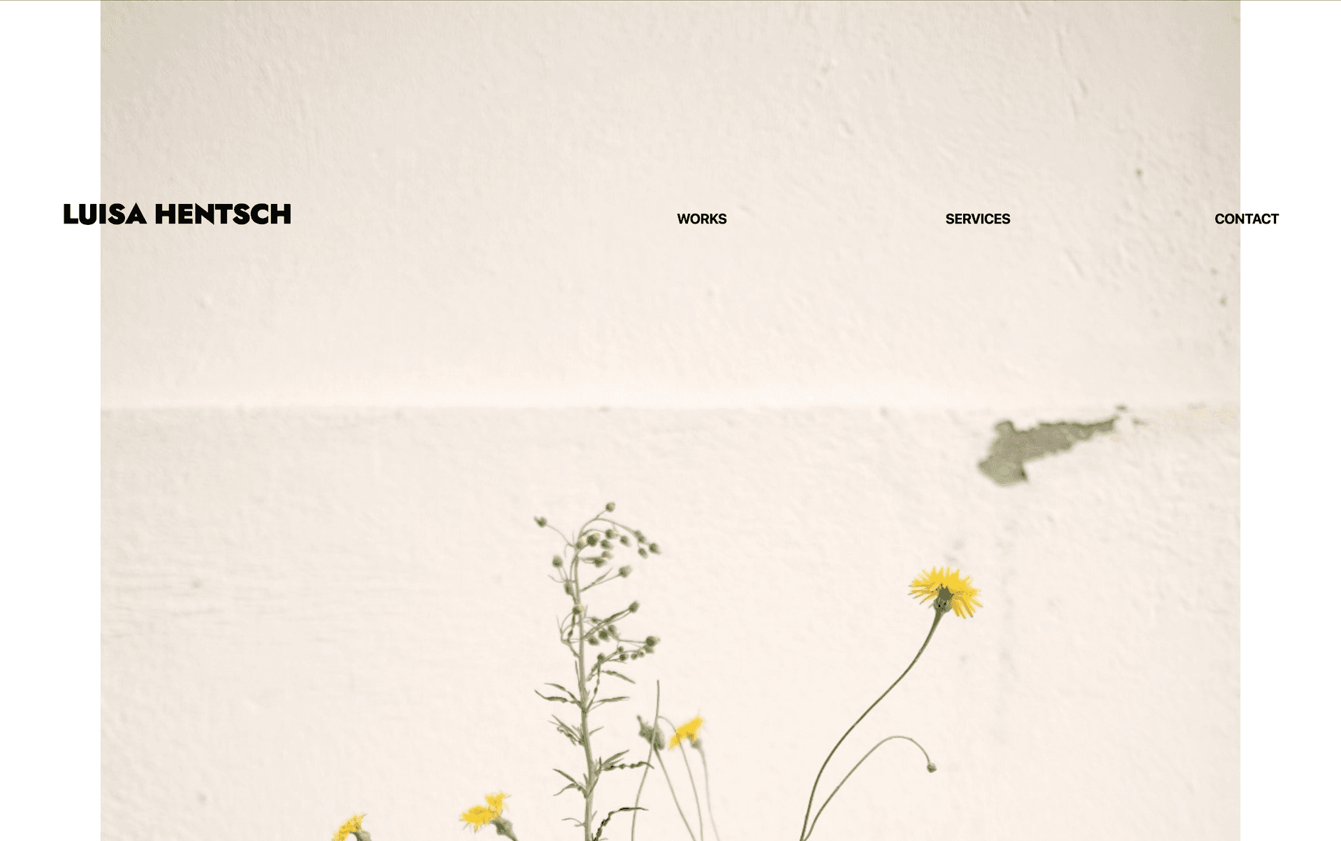 Portfolio Website for Luisa Hentsch